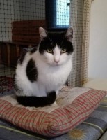 /album/macskajaj/img-20161127-185851-jpg/