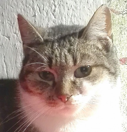 MUKI / NIKA