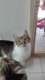 /album/kepgaleria-egon/img-20160903-123135-jpg/