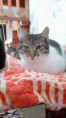 /album/kepgaleria-egon/img-20170128-143104-jpg/